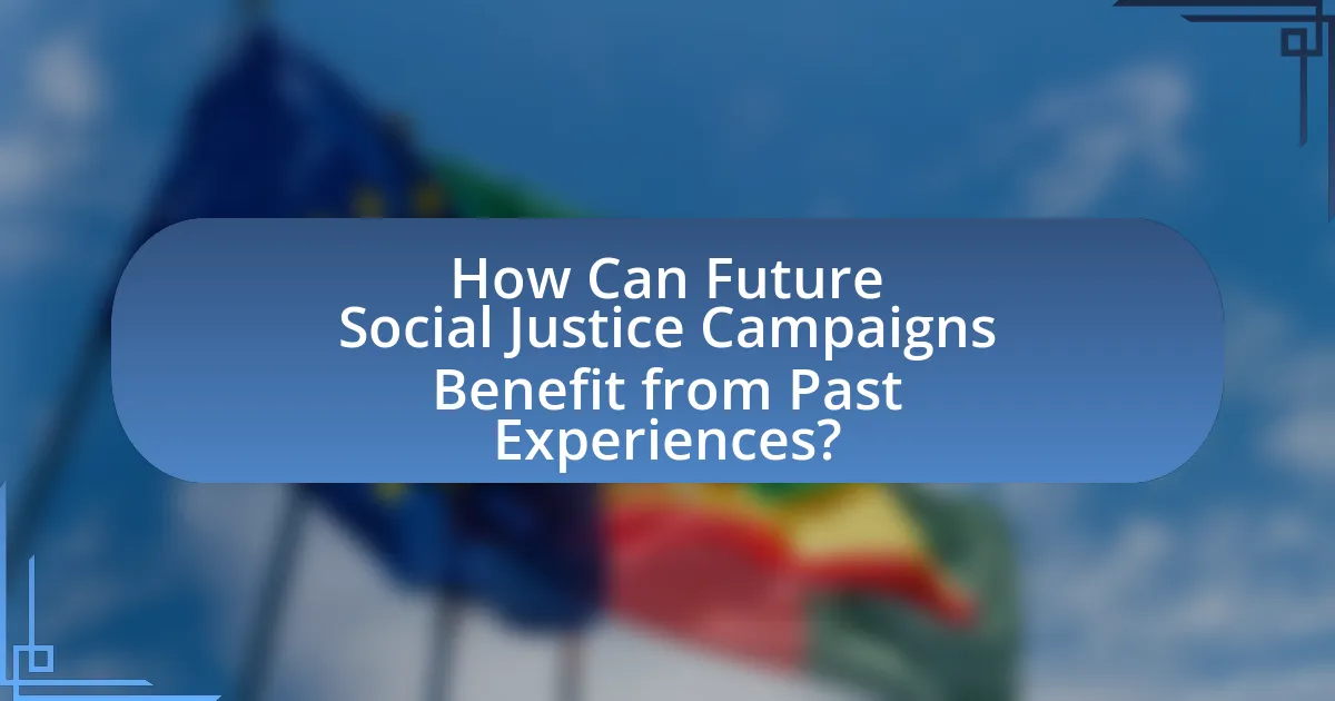 How Can Future Social Justice Campaigns Benefit from Past Experiences?