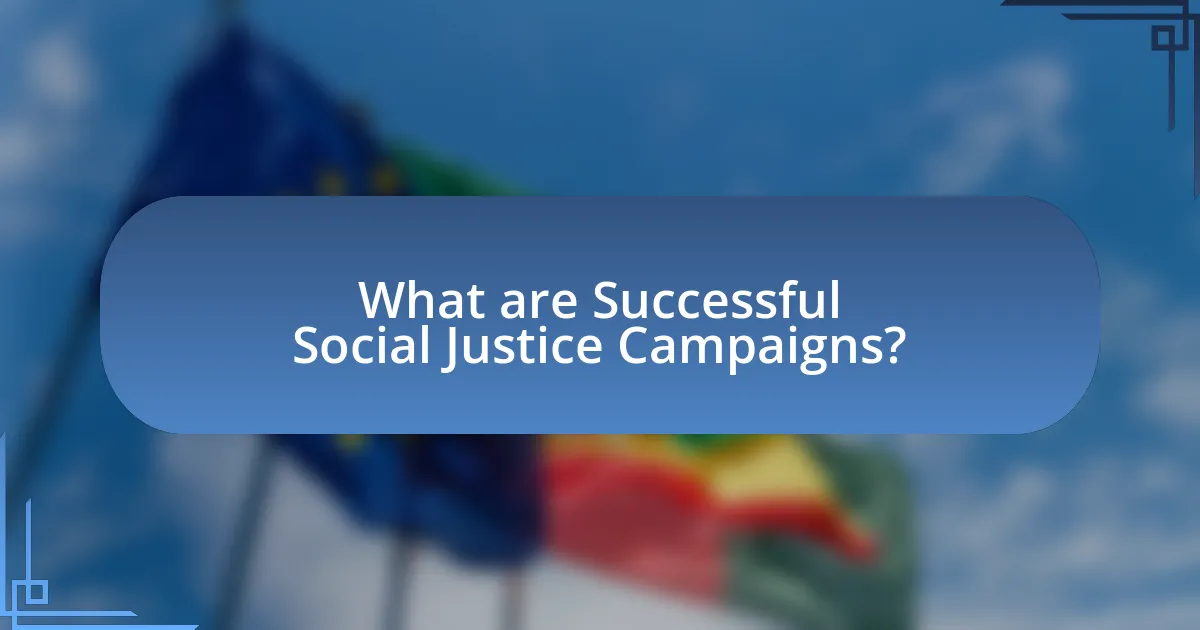 What are Successful Social Justice Campaigns?