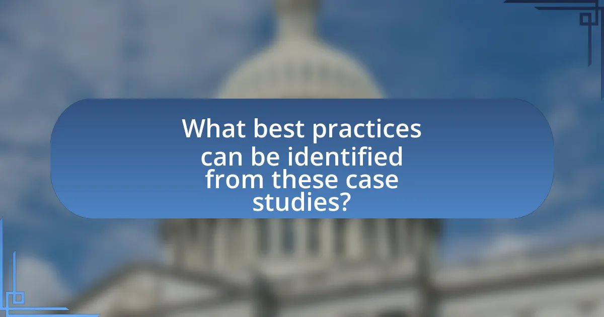 What best practices can be identified from these case studies?